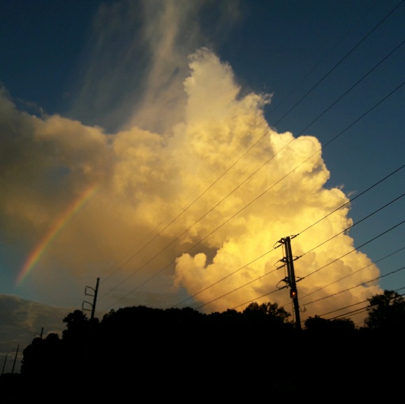 Meet your Posher, Ana - Picture 1 of 1